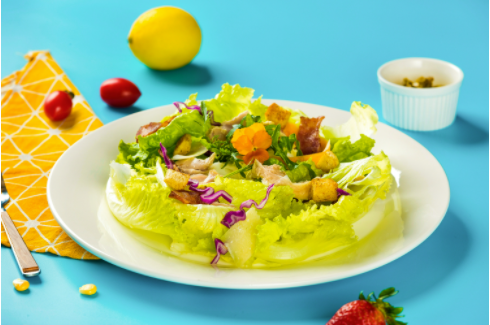 正規(guī)的輕食加盟